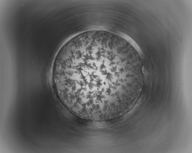X0000102471052200808151424