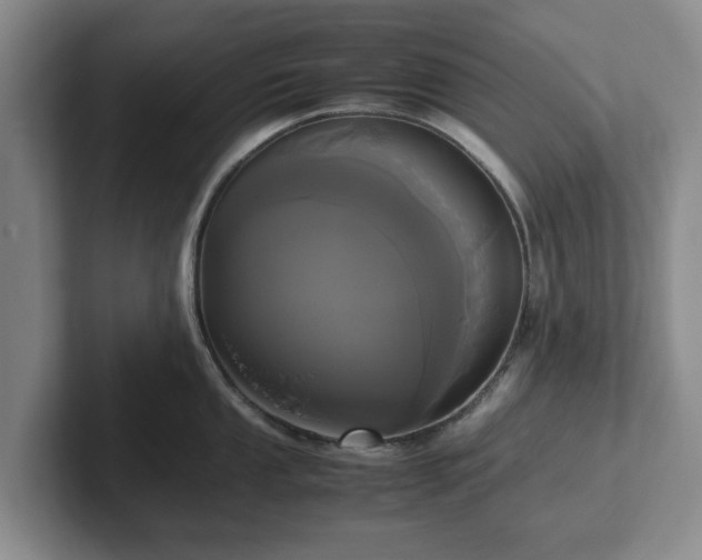 X0000102471053200808151424