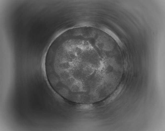 X0000102471055200808151424