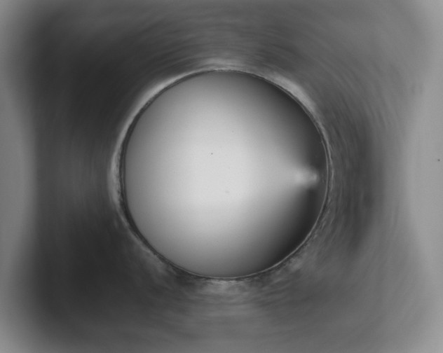 X0000102471056200808151424
