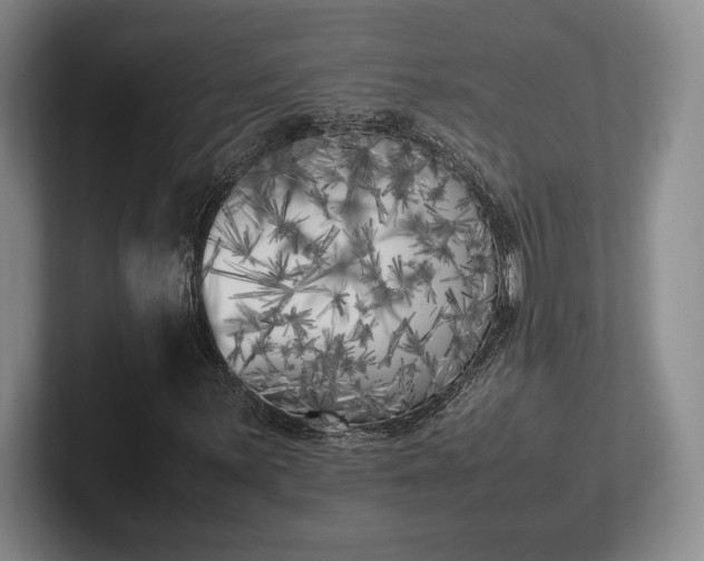 X0000102471059200808151423