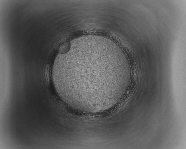 X0000102471060200808151423