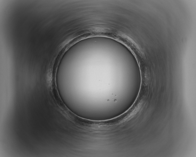 X0000102471065200808151423