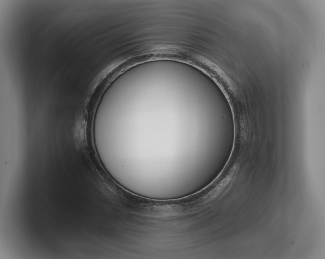 X0000102471066200808151423