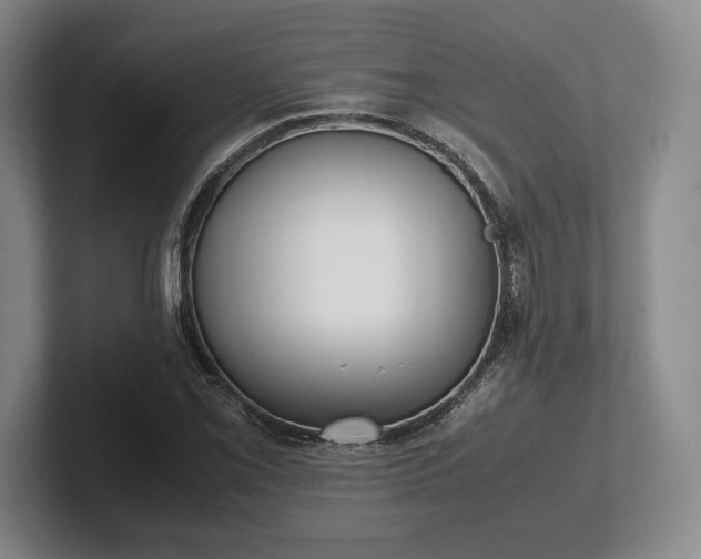 X0000102471069200808151423