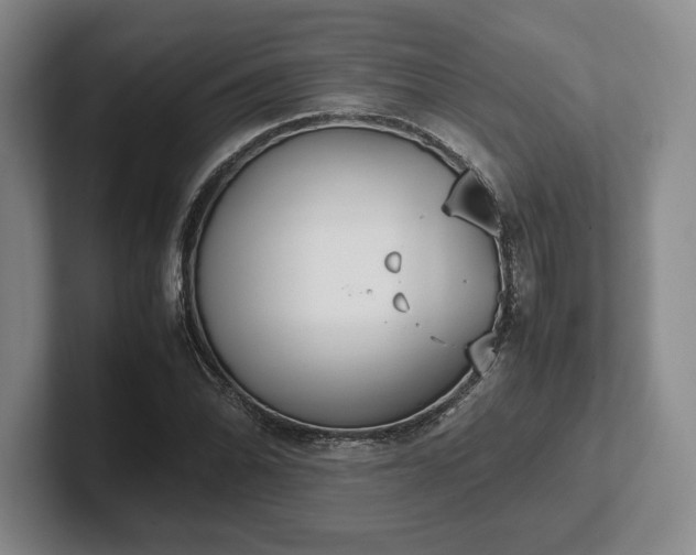 X0000102471070200808151423