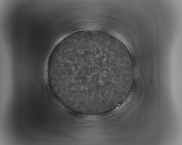 X0000102471071200808151423