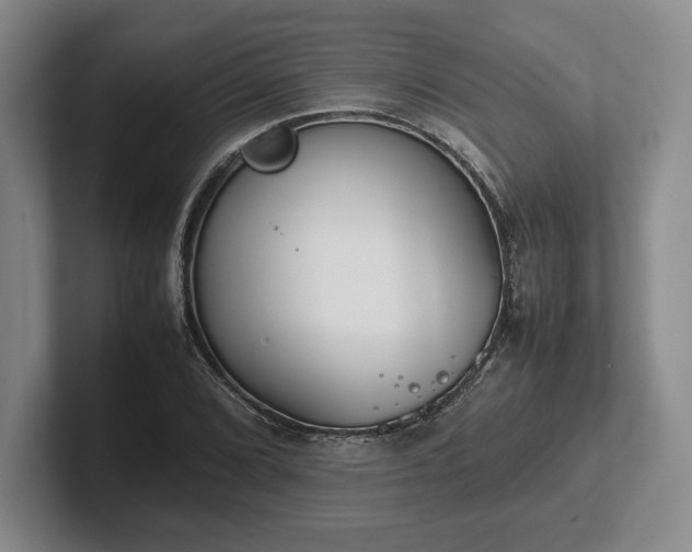 X0000102471072200808151423