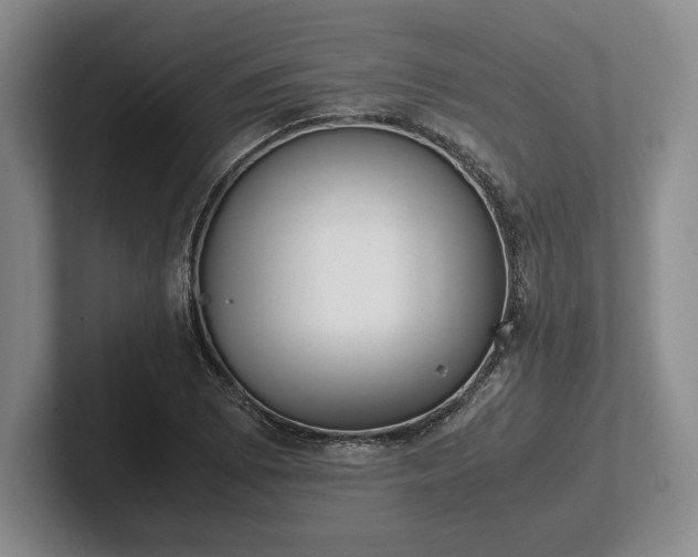 X0000102471073200808151423