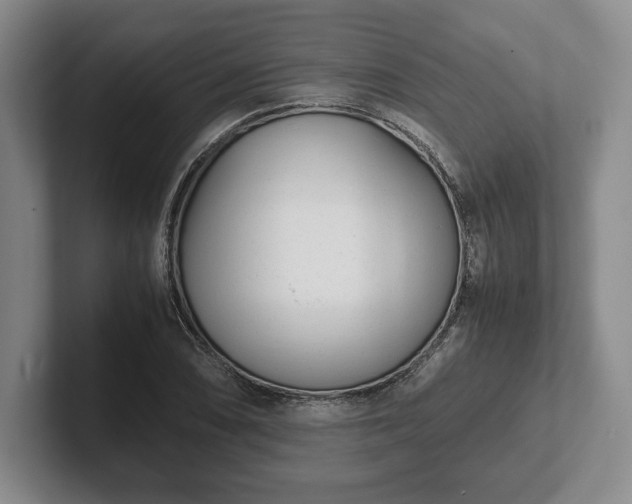 X0000102471074200808151423