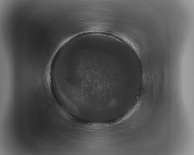 X0000102471077200808151423