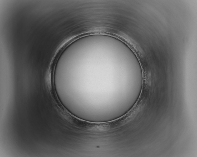 X0000102471078200808151423