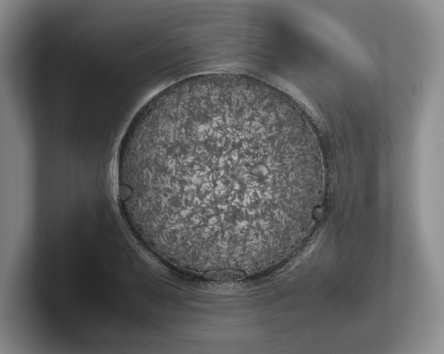 X0000102471079200808151423