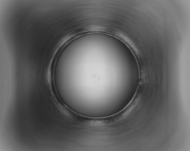 X0000102471082200808151423