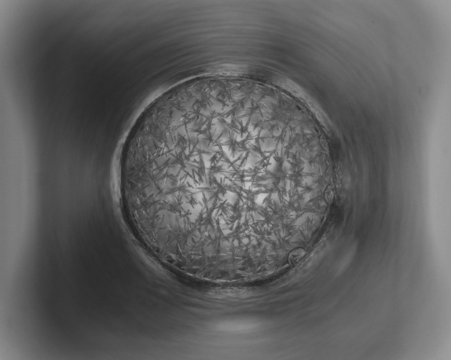 X0000102471083200808151423