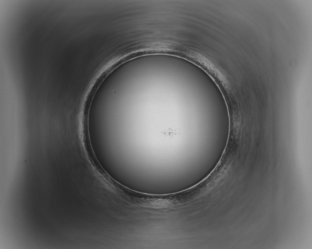 X0000102471085200808151423