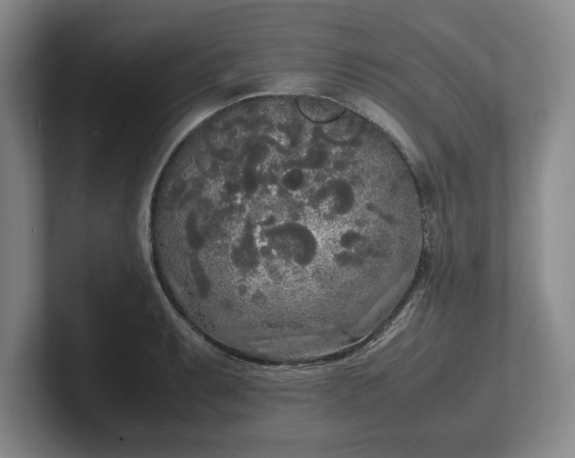 X0000102471087200808151423