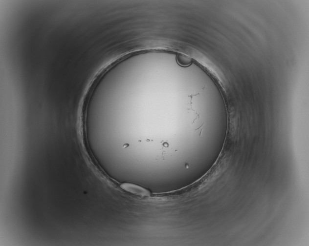 X0000102471088200808151423