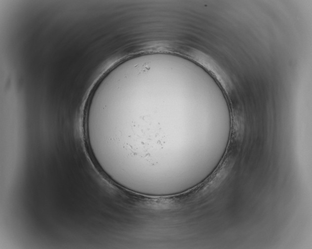 X0000102471090200808151423