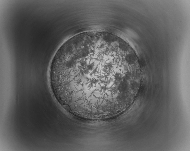 X0000102471091200808151423