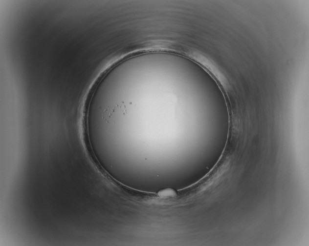 X0000102471093200808151423