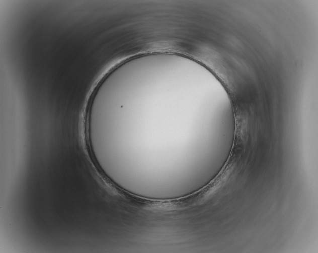 X0000102471094200808151423