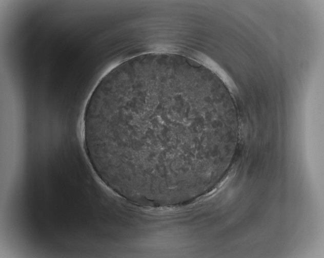 X0000102471095200808151423