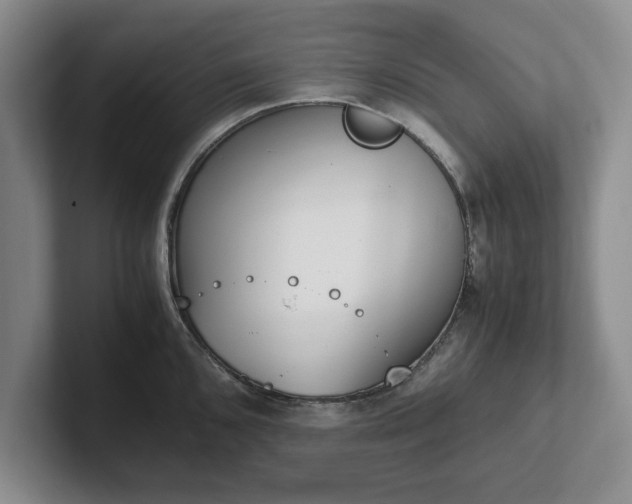 X0000102471096200808151423