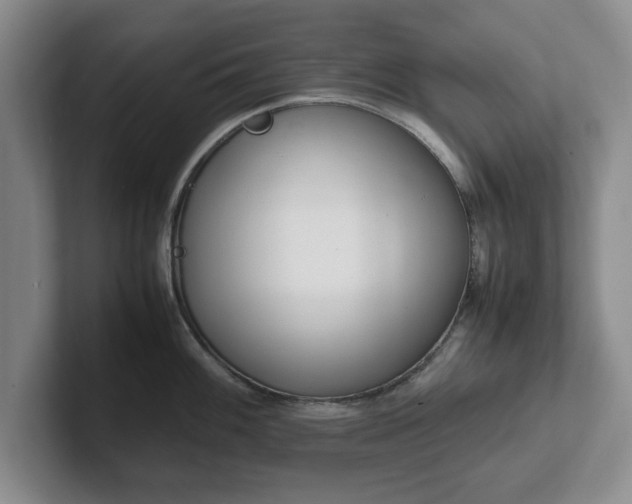 X0000102471100200808151423