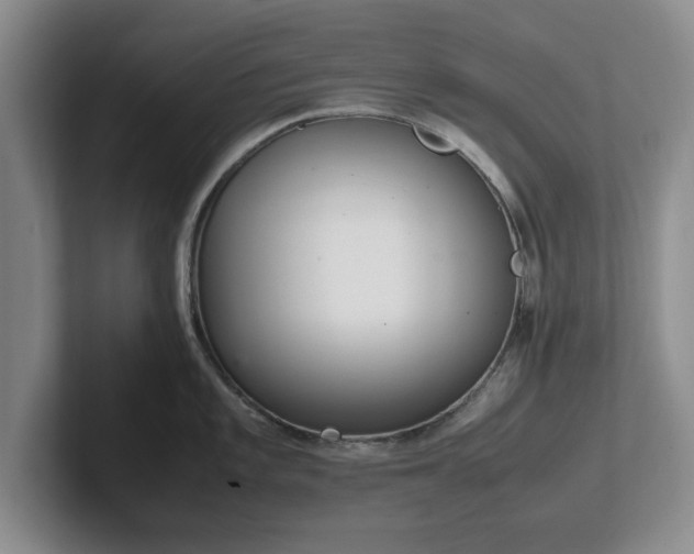 X0000102471101200808151423