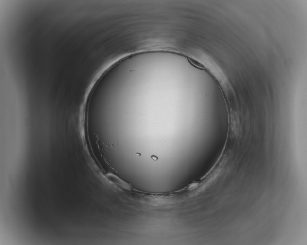 X0000102471102200808151423