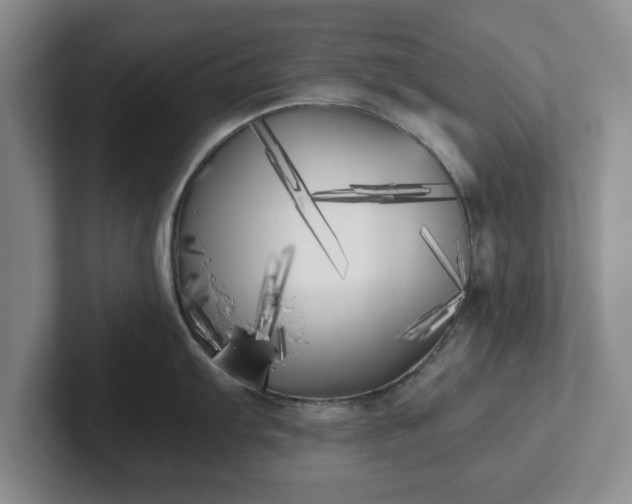 X0000102471103200808151423