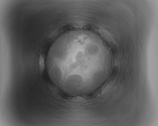 X0000102471106200808151422