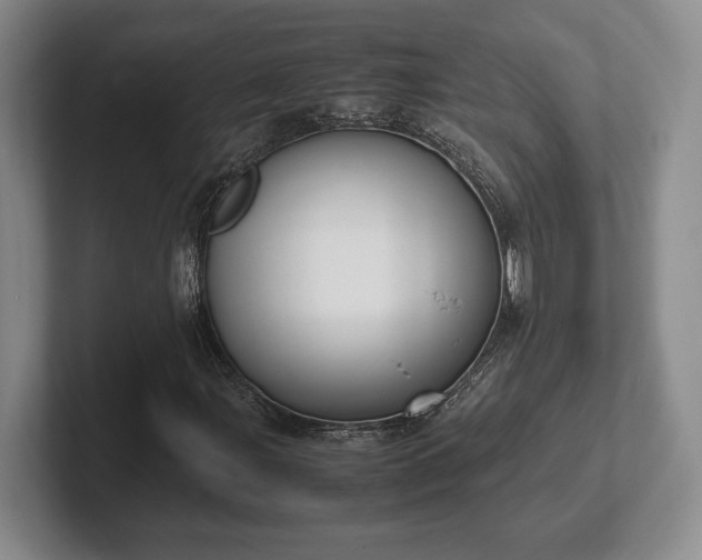 X0000102471107200808151422