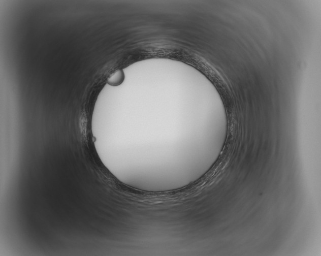 X0000102471108200808151422