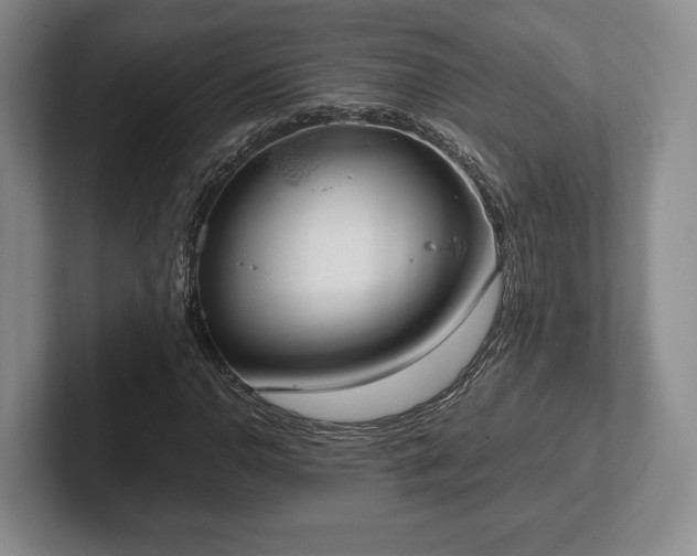 X0000102471110200808151422