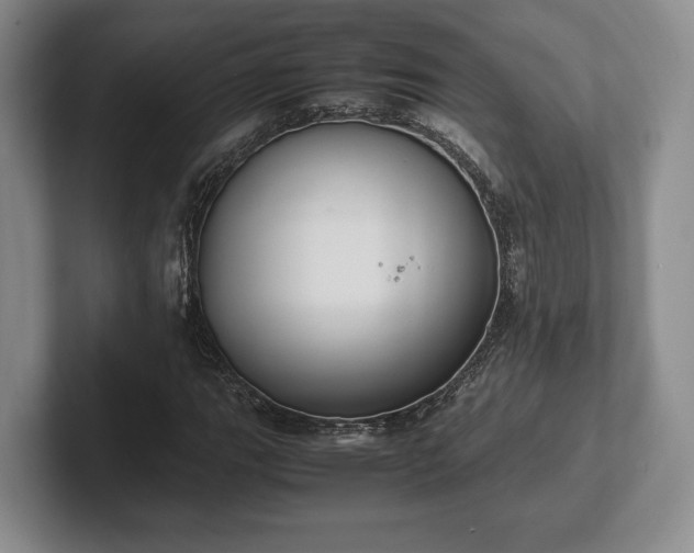 X0000102471111200808151422
