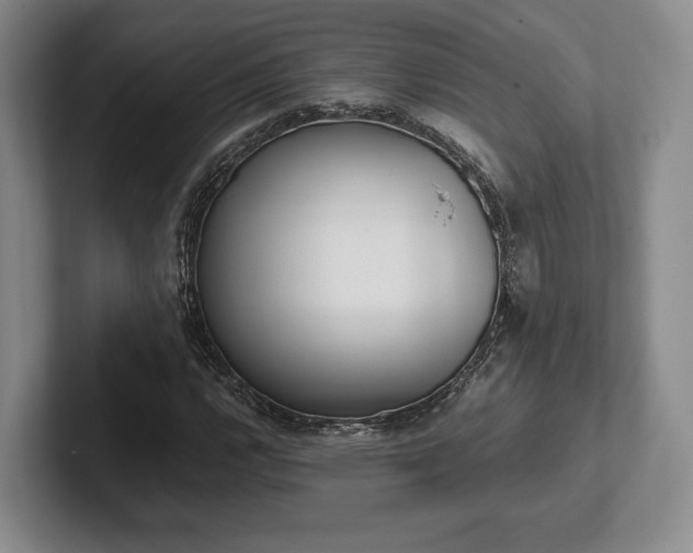 X0000102471112200808151422