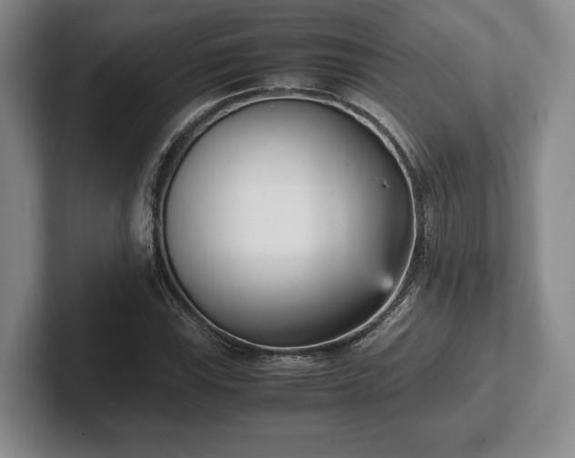 X0000102471115200808151422