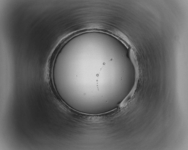 X0000102471116200808151422