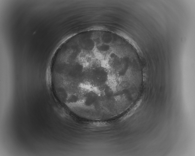 X0000102471117200808151422