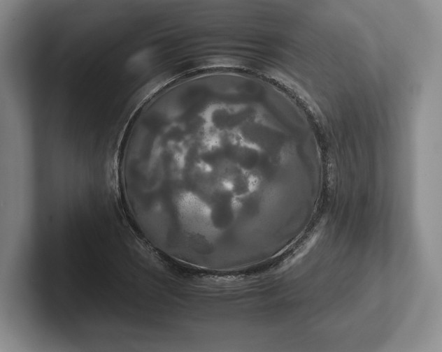 X0000102471121200808151422