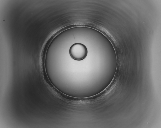 X0000102471122200808151422