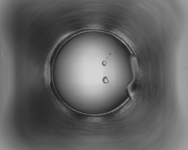 X0000102471123200808151422
