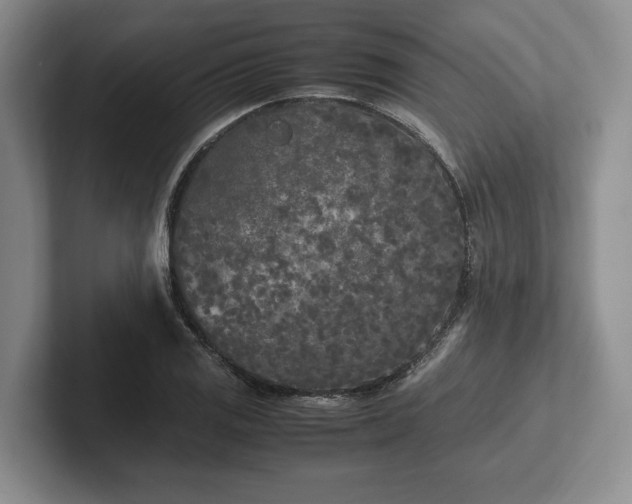 X0000102471125200808151422