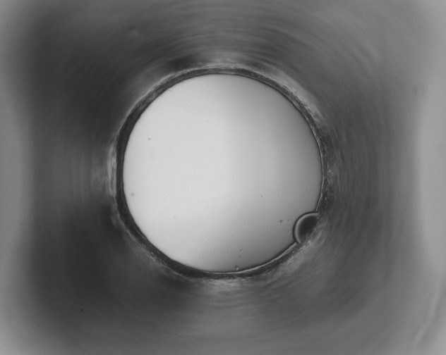 X0000102471126200808151422