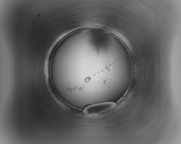 X0000102471128200808151422