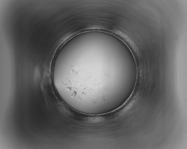 X0000102471129200808151422