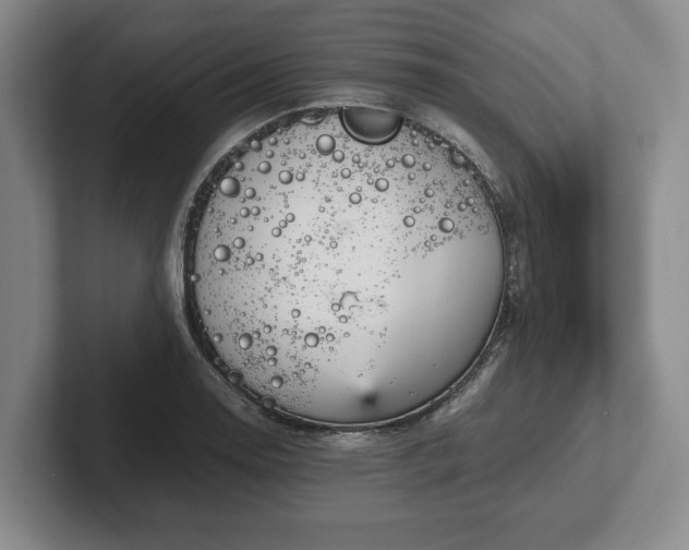 X0000102471130200808151422