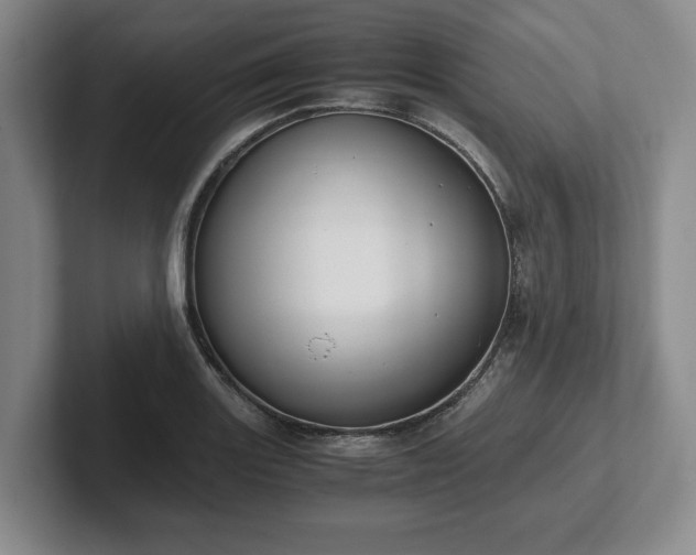 X0000102471131200808151422